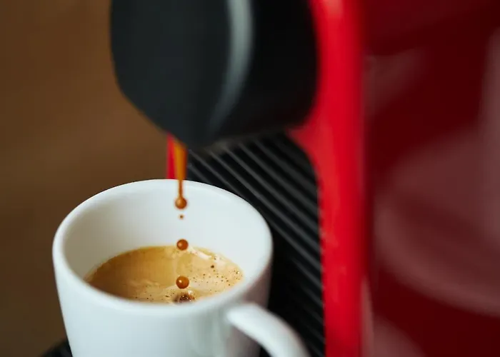 Maison d'hôtes Berg